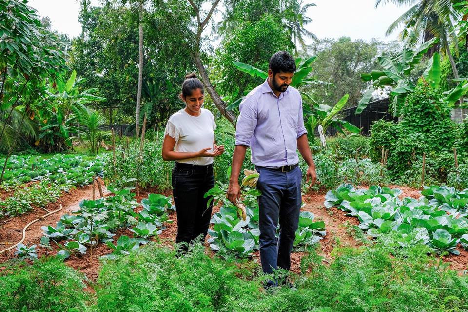 Nedhini và Abishek thật sự thích thú với công việc làm vườn.
