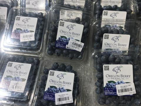 Theo Báo Đất Việt, quả việt quất Mỹ cũng đang có giá rẻ bất ngờ ở thị trường Việt, vào khoảng 470.000 đồng/kg tại một số siêu thị. Ảnh: Datviet.