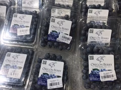 Theo Báo Đất Việt, quả việt quất Mỹ cũng đang có giá rẻ bất ngờ ở thị trường Việt, vào khoảng 470.000 đồng/kg tại một số siêu thị. Ảnh: Datviet.