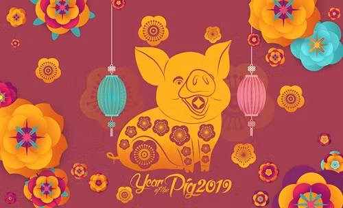 Nam Ky Hoi, xem tai van nguoi tuoi Hoi tu tre den gia