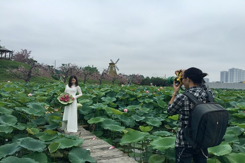 Nhu cầu chụp ảnh hoa sen cao không chỉ tạo cơ hội giúp các chủ đầm sen thu bội tiền mỗi ngày, mà còn là dịp cho các thợ chụp ảnh "hốt bạc". Ảnh: Thoibaotaichinhvietnam.