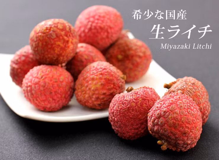 Tuy nhiên, vải không hạt Nhật Bản có số lượng rất và hiếm. Vỏ ngoài quả vải màu đỏ rực bắt mắt, bên trong cùi dày, trắng và ngọt thơm. Ảnh: Aionline-japan.