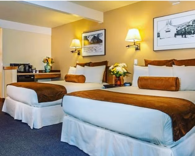 Giường ngủ vừa ấm áp, vừa thoáng đãng và tràn ngập ánh sáng tự nhiên.