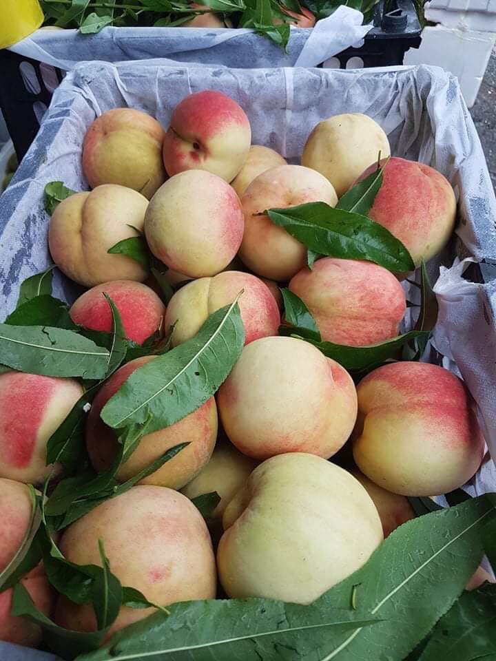 Loại đào này có kích thước khá lớn (2-4 quả/kg).