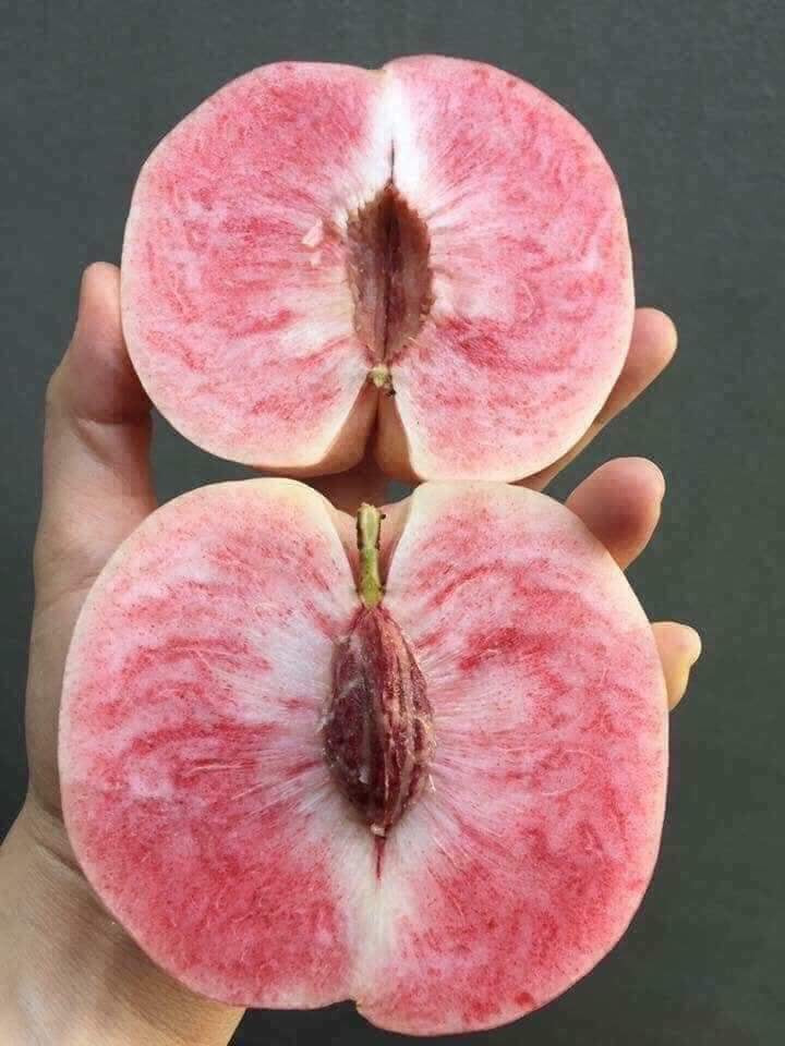 Chị Tú Anh (Hà Đông, Hà Nội) cho biết vừa mua 2kg đào tiên Tôn Ngộ Không ngoài chợ với giá 30.000 đồng/kg về ăn thử.