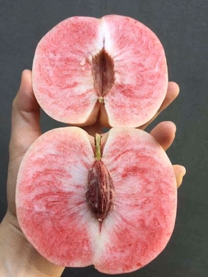 Chị Tú Anh (Hà Đông, Hà Nội) cho biết vừa mua 2kg đào tiên Tôn Ngộ Không ngoài chợ với giá 30.000 đồng/kg về ăn thử.