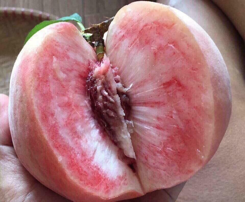 "Đào tiên" khổng lồ khi chín da phớt hồng, vỏ ít lông, ăn khá giòn, vị ngọt và thơm dịu.