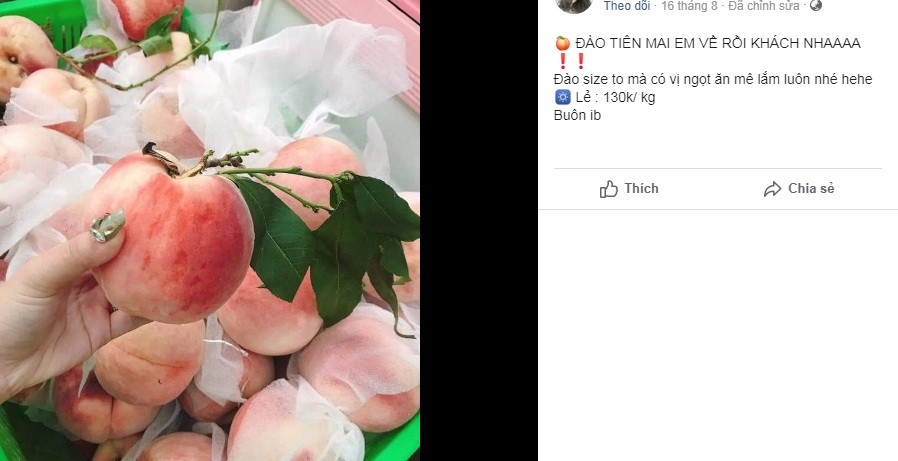 Không chỉ bày bán tại các chợ và nhiều tuyến phố, đào tiên khổng lồ này còn được rao bán nhiều trên chợ mạng. Ảnh: Facebook.