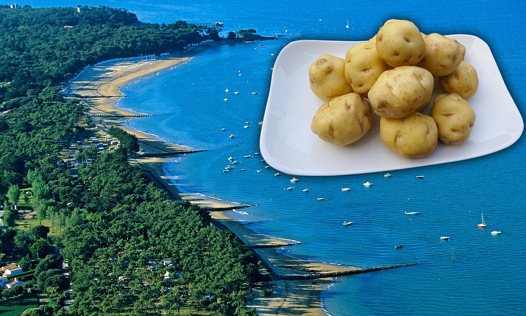 Khoai tây La Bonnotte chủ yếu được dùng để chế biến món ăn trong những nhà hàng sang trọng bậc nhất. Nguồn ảnh: Luxuo.