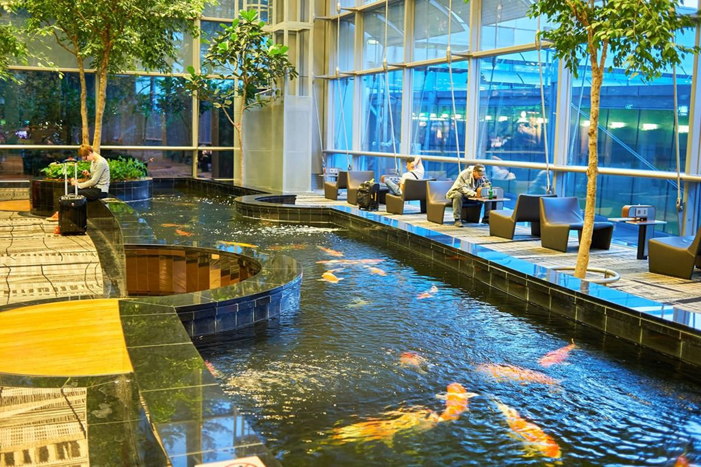 Changi còn là một trong số ít các sân bay trên thế giới có hồ bơi ngoài trời. Hồ bơi này nằm ngay trên mái của nhà ga T1. Phí để được sử dụng hồ bơi cao cấp này là $17 trong thời gian từ 6 giờ sáng cho tới nửa đêm. Ảnh: Travel + Leisure.