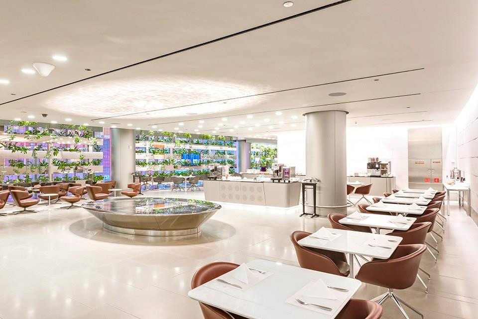 Sân bay quốc tế Hamad được thiết kế với 5 khu, trong đó có 138 quầy check-in và 2 khách sạn với hơn 200 phòng nghỉ. Ngạc nhiên hơn, trong đó còn có cả bể bơi, nhà thờ Hồi giáo và không gian rộng lớn dành cho trung tâm mua sắm và các khu vui chơi giải trí. Ảnh: Qatar Airways.