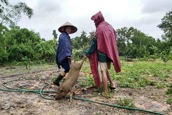 Ha Tinh: Thuy dien xa nuoc cuon troi cau, dan tat ta om lon, ga chay lu-Hinh-5