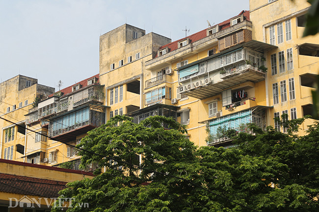 Không ít hộ còn tận dụng nốt mặt sau chung cư A6 Giảng Võ để dựng "chuồng cọp".