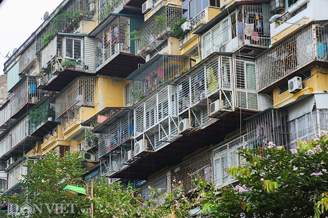 Thậm chí, nhiều người còn biến chuồng cọp thành căn phòng mới cho căn hộ của mình .