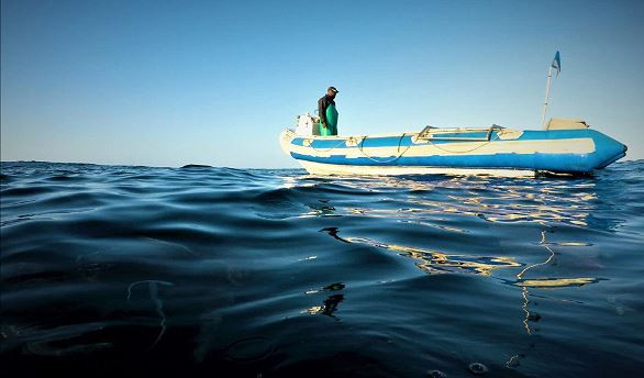 Mặc dù thường dè chừng con người nhưng cá mập vây đen có thể trở nên hung dữ khi có con mồi và gây ra một số vụ tấn công nhằm vào con người mỗi năm.