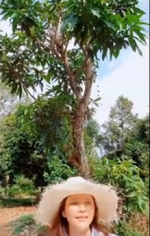 Tất cả đều được trồng tự nhiên và không sử dụng thuốc hóa học.