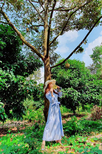 Theo chia sẻ, khu vườn sẽ là nơi mà mỗi tuần Lý Nhã Kỳ trở về để tự tay hái trái, xả stress sau những giờ làm việc căng thẳng.