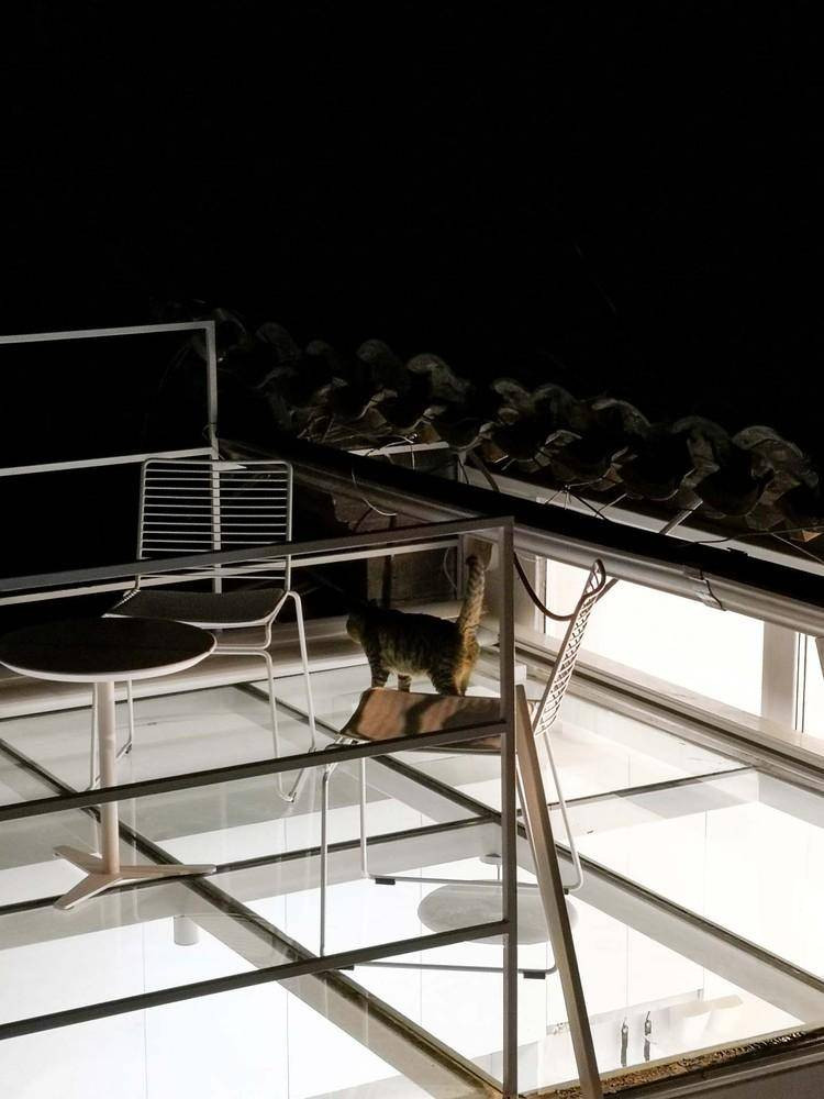 Phần giếng trời thiết kế khéo léo thành một khoảng sân nhỏ để thư giãn. Nguồn ảnh: Archdaily.