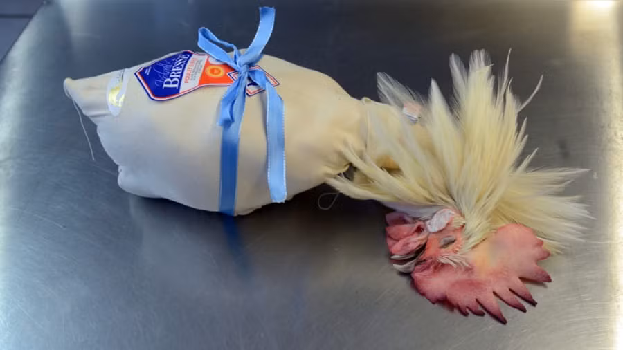 Thêm nữa, gà Bresse chỉ được nuôi bằng thức ăn trồng tại địa phương.