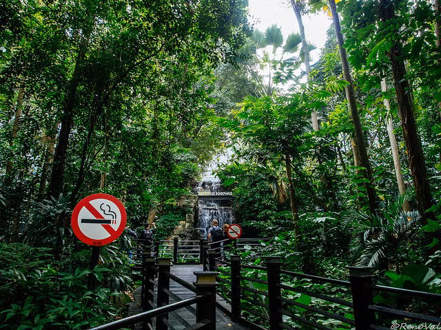 Sân bay quốc tế Kuala Lumpur (Malaysia) dành riêng một khu vực để tạo thành khu rừng nhiệt đới. Nguồn ảnh: Brightside.