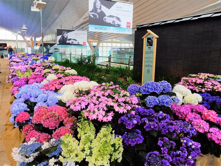 Trong khi đó sân bay quốc tế Tokyo Haneda (Nhật Bản) có hẳn một vườn hoa cho khách thoải mái ngắm nhìn.