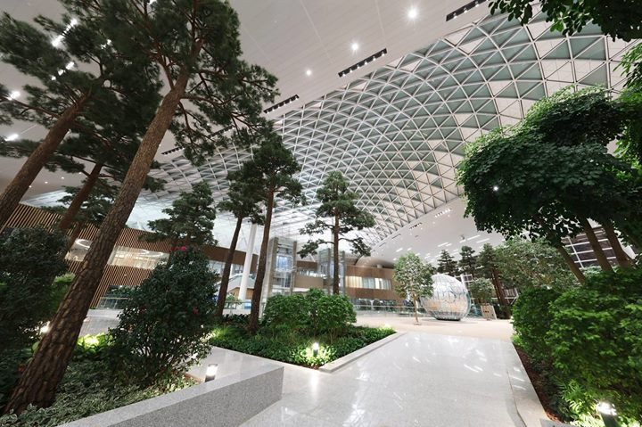 Sân bay quốc tế Incheon (Hàn Quốc) được biết đến với 7 khu vườn trong nhà. Nếu bạn phải lưu trú khá lâu tại sân bay có thể đi dạo giữa một bầu không khí trong xanh và sống cùng thiên nhiên.