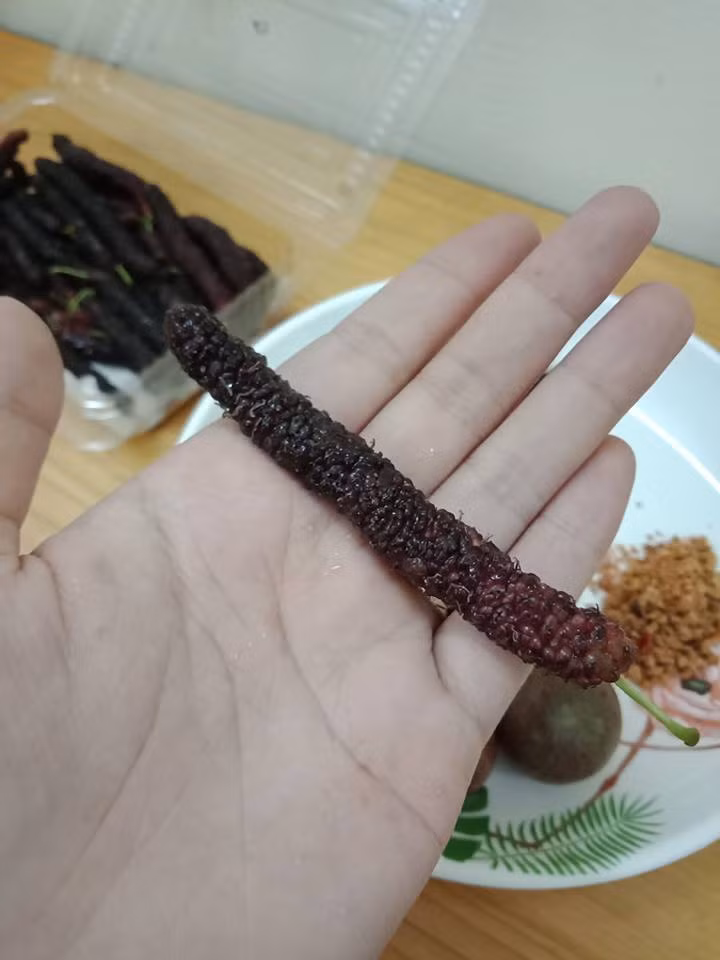 Dâu tằm Đài Loan trái dài từ 8-20cm. Ảnh: FB Thế giới nông sản.