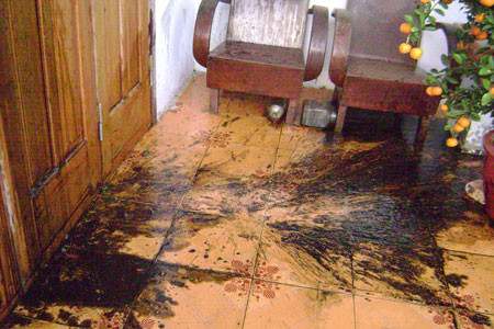 Trong khi đang chờ tòa án phán quyết, tháng 2/2013, một nhóm người đến khách sạn xưng là nhân viên của Công ty TNHH Dịch vụ thu nợ Taiga cầm tờ giấy do ông T. ủy quyền đòi bà N. phải trả gần 2 tỷ đồng. Từ đó, vào buổi sáng từ thứ Hai đến thứ Sáu, xuất hiện nhóm người lạ chặn ngay cửa khách sạn, hễ khách đến là hùng hổ. Chúng cho người quăng bịch nhớt pha mắm tôm văng bẩn đầy lên khuôn viên và bàn ghế của khách sạn. Ảnh minh họa: vietgiatri.