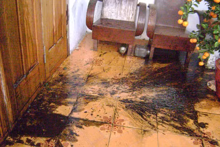 Trong khi đang chờ tòa án phán quyết, tháng 2/2013, một nhóm người đến khách sạn xưng là nhân viên của Công ty TNHH Dịch vụ thu nợ Taiga cầm tờ giấy do ông T. ủy quyền đòi bà N. phải trả gần 2 tỷ đồng. Từ đó, vào buổi sáng từ thứ Hai đến thứ Sáu, xuất hiện nhóm người lạ chặn ngay cửa khách sạn, hễ khách đến là hùng hổ. Chúng cho người quăng bịch nhớt pha mắm tôm văng bẩn đầy lên khuôn viên và bàn ghế của khách sạn. Ảnh minh họa: vietgiatri.