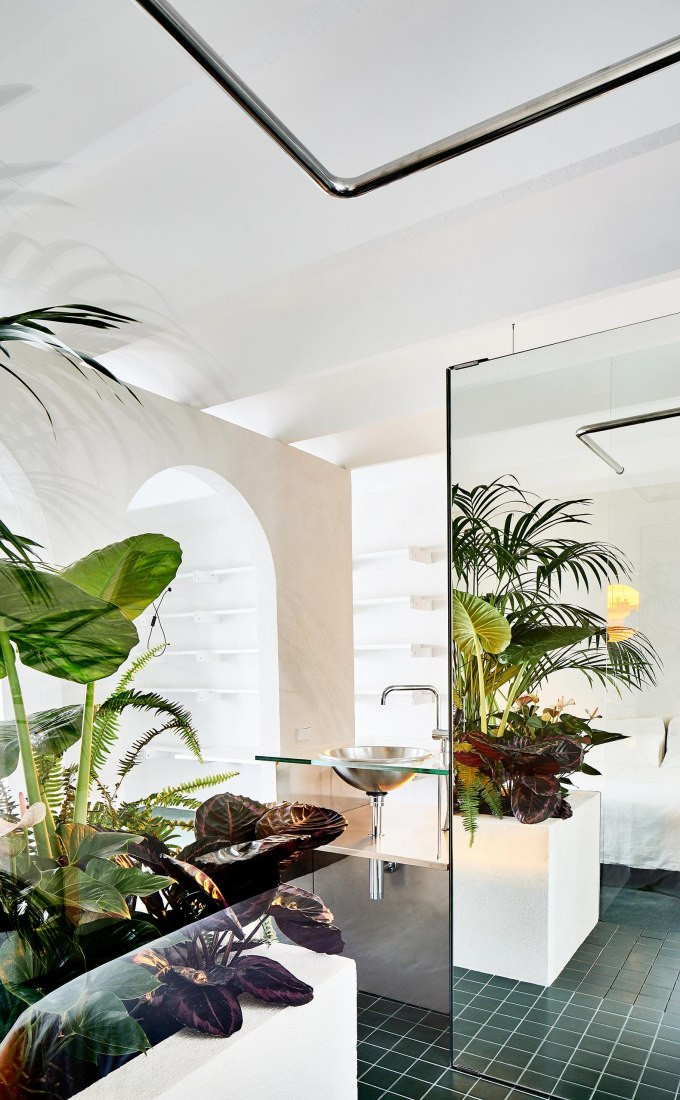 Cây xanh như một yếu tố không thể thiếu trong căn nhà.