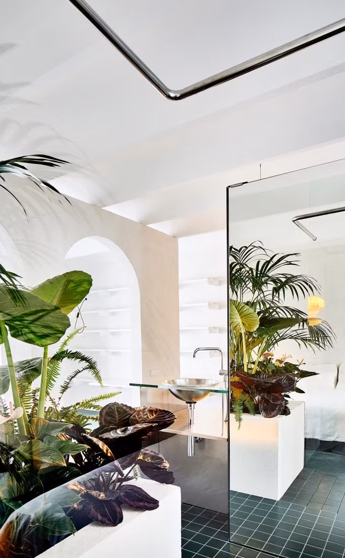 Cây xanh như một yếu tố không thể thiếu trong căn nhà.