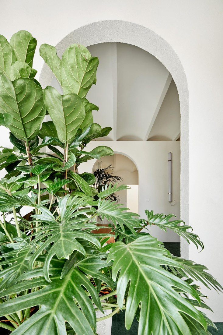 Các chậu cây xanh xây trực tiếp trong nhà như bình phong độc đáo giữa các không gian.