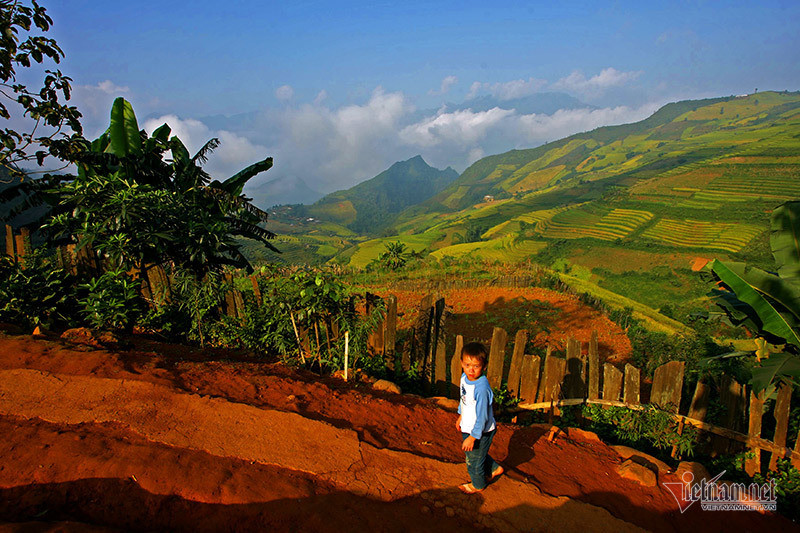 Mua lua chin Tay Bac moi nam chi co 1 lan o Viet Nam-Hinh-2