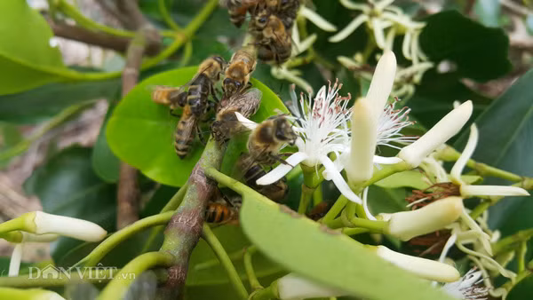 Nong dan thu ca tram trieu 1 thang nho chieu luyen ong mat cuc doc dao