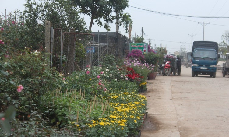 Đủ loại màu sắc của hoa hòa lẫn với dòng người tấp nập mua bán khiến cho không khí của vùng quê vốn tĩnh lặng trở nên nhộn nhịp. Ảnh: Laodongthudo.