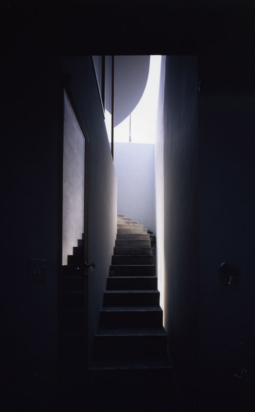 Cầu thang sâu hun hút vẫn kết nối với thiên nhiên.