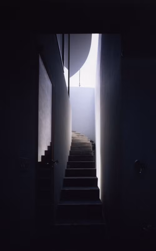 Cầu thang sâu hun hút vẫn kết nối với thiên nhiên.