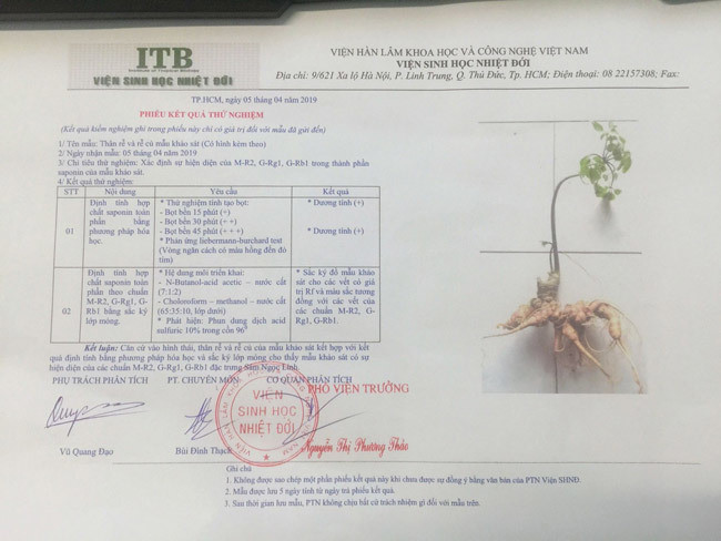 Phiếu thử nghiệm củ sâm này của Viện sinh học nhiệt đới.