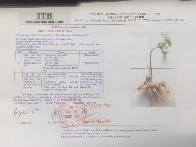 Phiếu thử nghiệm củ sâm này của Viện sinh học nhiệt đới.