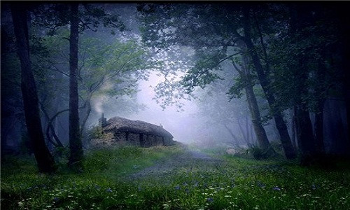 Căn nhà tranh đơn độc trong rừng tại Scotland. Nguồn ảnh: Buzzfeed.