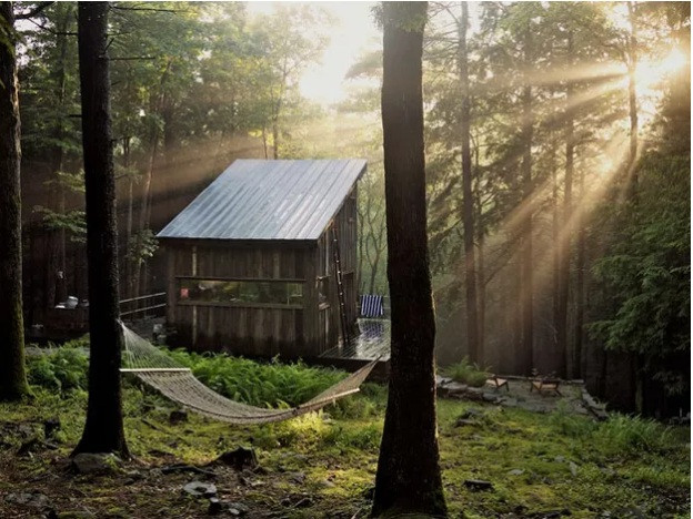 Nằm dưới tán cây, căn nhà nhỏ lung linh hơn nhờ những tia nắng mặt trời xuyên qua.