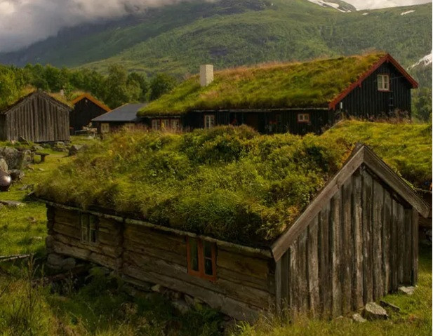 Mái cỏ xanh dịu dàng khiến ngôi nhà nhỏ hòa mình vào thiên nhiên phóng khoáng.