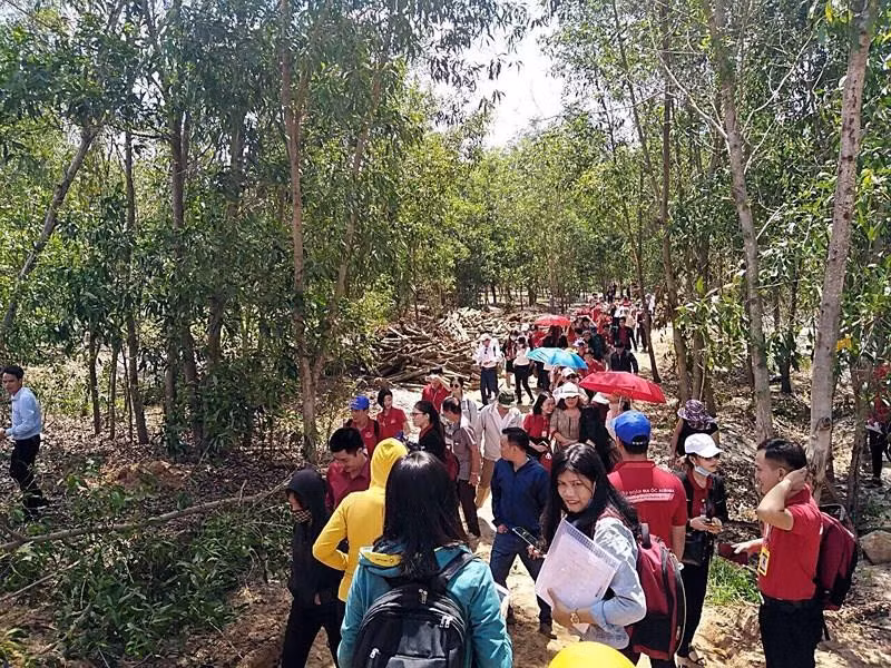 Loat bat dong san Alibaba duoi thoi CEO Nguyen Thai Luyen “dinh phot” gi?-Hinh-4