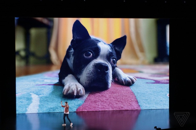 Với cụm 2 camera này, iPhone 11 có khả năng chụp ảnh với góc rộng hơn gấp đôi so với ống kính thông thường. Đặc biệt, camera góc rộng còn hỗ trợ zoom quang học 2x.