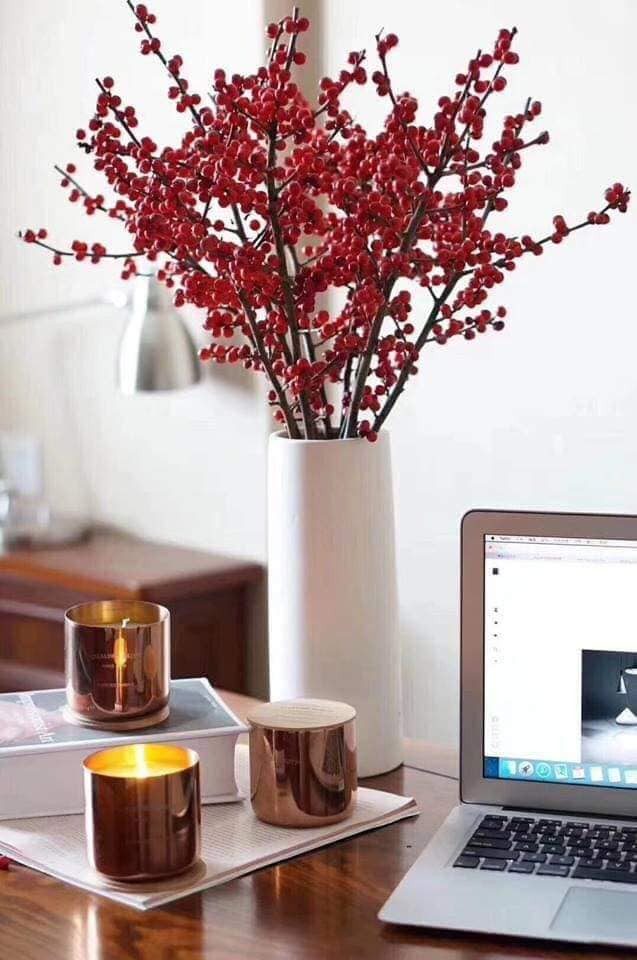 Đây là loài hoa được quảng cáo nhập khẩu từ Hà Lan. Về Việt Nam, đào đông đỏ có giá từ 250.000 - 700.000 đồng/cành, tùy vào kích thước. Ảnh: FB Thuy Nguyen.