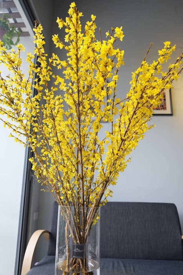 Tương tự, hoa mai Mỹ cũng trở thành mặt hàng đắt đỏ ở Việt Nam mỗi dịp Tết đến. Mỗi cành mai Mỹ dao động từ 190.000 - 450.000 đồng/cành tùy độ dài. Ảnh: Faecbook.