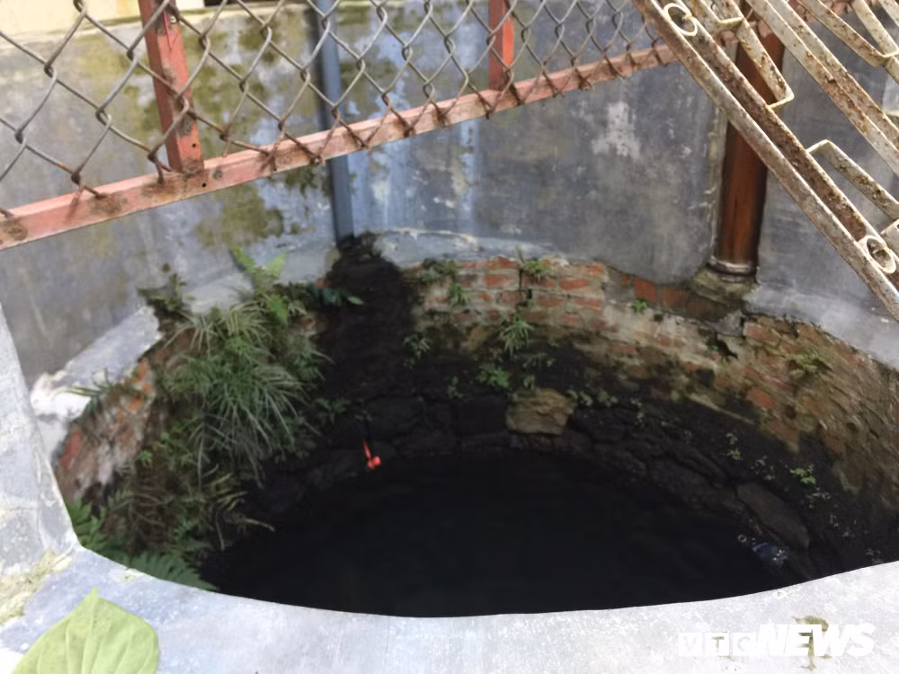 Sanh co cua “bao chua mien Trung” duoc don chon day vang o duoi-Hinh-5