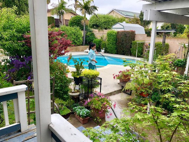 Xung quanh biệt thự là cây xanh và hồ bơi thoáng mát. Ảnh: Dân Việt.
