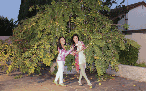 Bên ngoài căn biệt thự Việt Hương có một khoảng sân vườn khá rộng là nơi cô trông cây ăn trái, trồng hoa và nuôi cây cảnh. Ảnh: Vietnamnet.