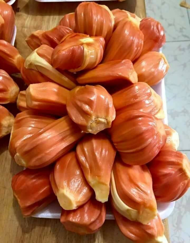 Điểm đặc biệt của mít đỏ Malaysia đạt chuẩn là múi màu đỏ, ăn rất giòn, ngọt, thơm mùi mật hòa lẫn vị sầu riêng, cà phê sữa...Ảnh: FB Le Thanh Tan.